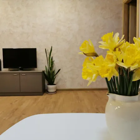 Apartament Nojus Druskieniki