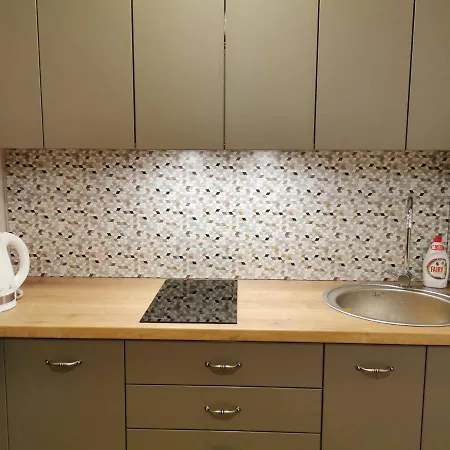 Nojus Apartament Druskieniki