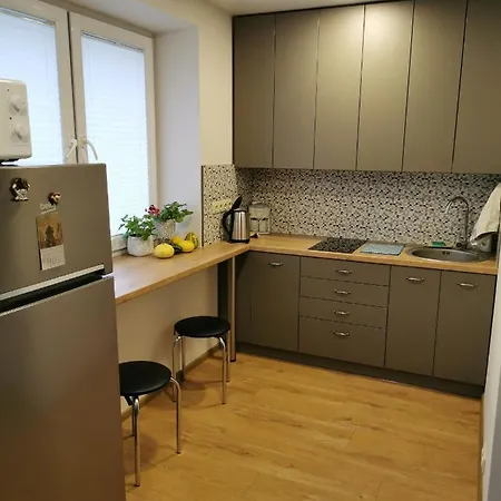 Apartament Nojus Druskieniki