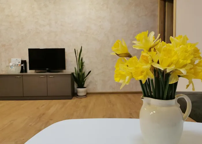 Apartment Nojus Druskininkai