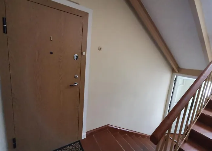 Nojus * Druskininkai